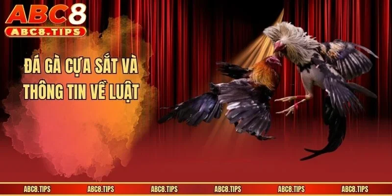 Đá gà cựa sắt và thông tin về luật