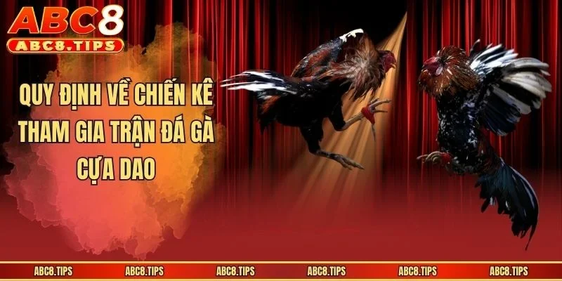 Quy định về chiến kê tham gia trận đá gà cựa dao